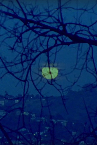 Póster de Giizis Mooka'am Giiwe (Sun/Moon Rise She Goes Home)