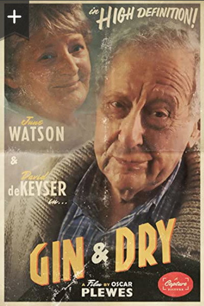 Póster de Gin & Dry