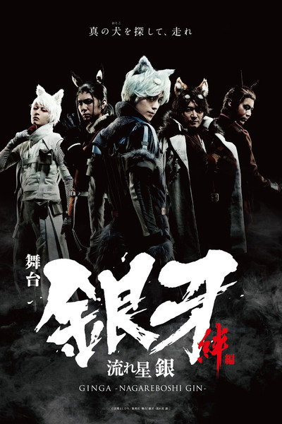Póster de Ginga -Nagareboshi Gin- Kizuna Hen (The Ties of Friendship)