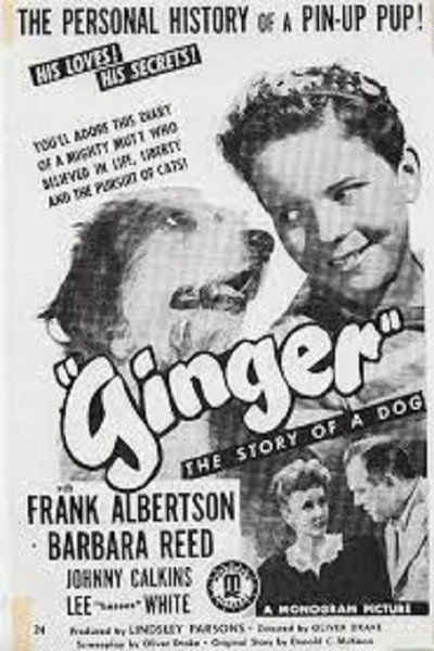 Póster de Ginger