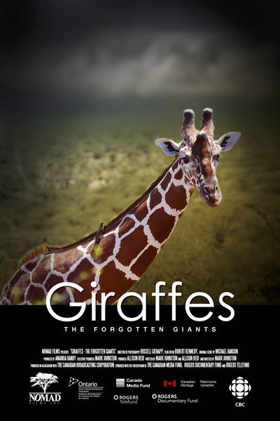 Póster de Giraffes: The Forgotten Giants