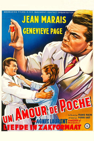 Póster de Girl in His Pocket