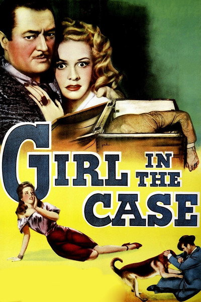 Póster de Girl in the Case