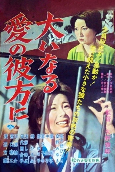 Póster de Girls Behind Bars