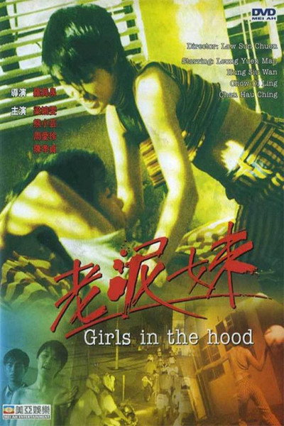 Póster de Girls in the Hood