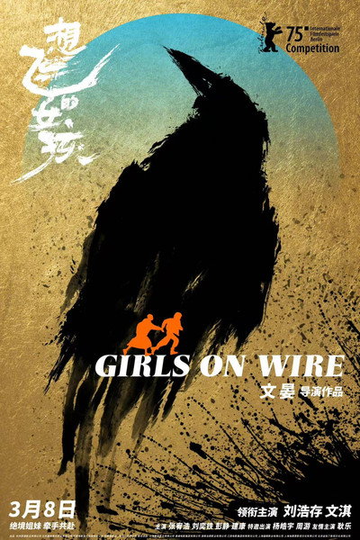 Póster de Girls on Wire