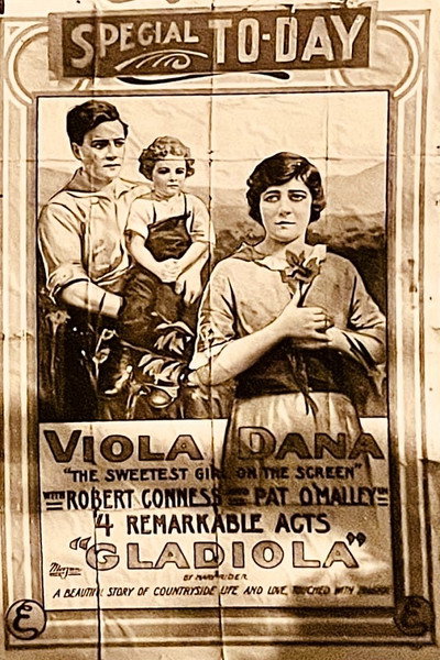 Póster de Gladiola