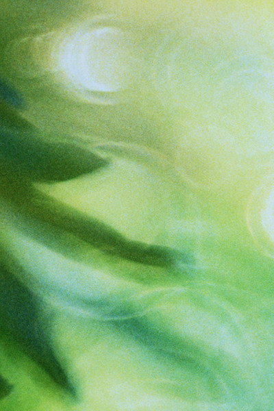 Póster de Glide of Transparency