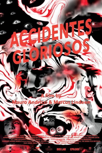 Póster de Glorious Accidents