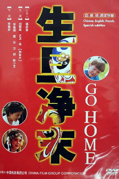 Póster de Go Home