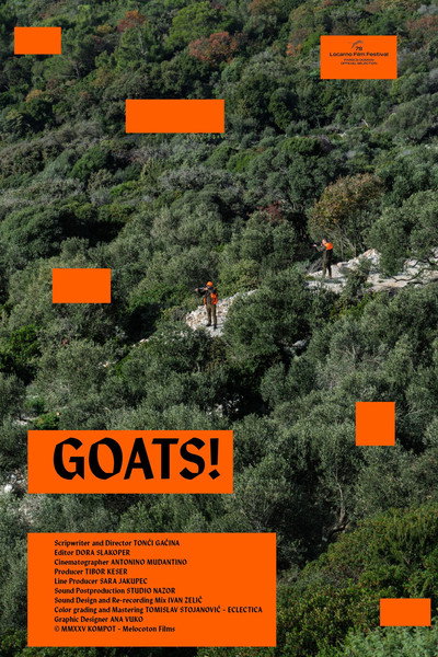Póster de Goats!