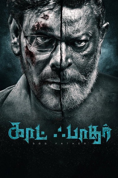 Póster de God Father