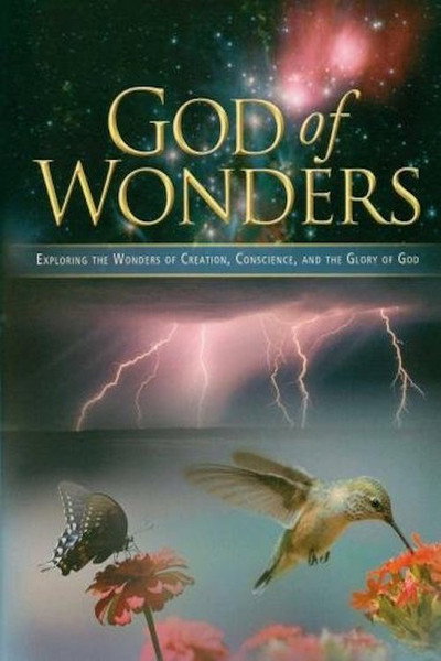 Póster de God of Wonders