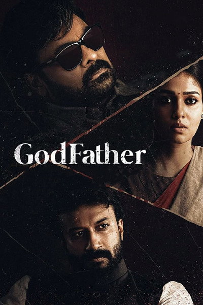 Póster de Godfather