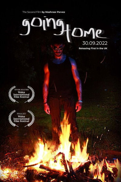 Póster de going Home
