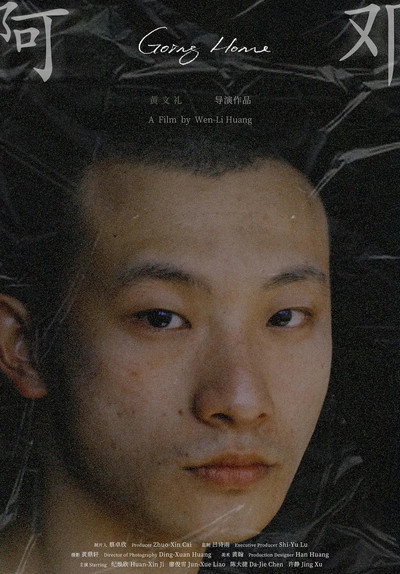 Póster de Going Home