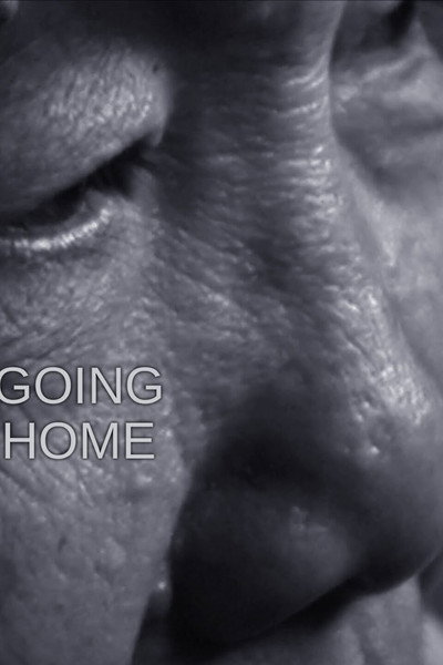 Póster de Going Home