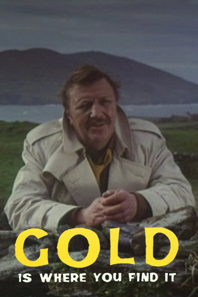Póster de Gold Is Where You Find It
