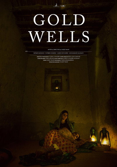 Póster de Gold Wells