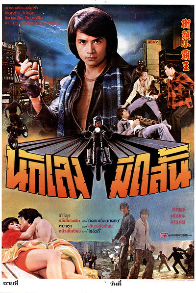 Póster de Golden Fists of a Duo