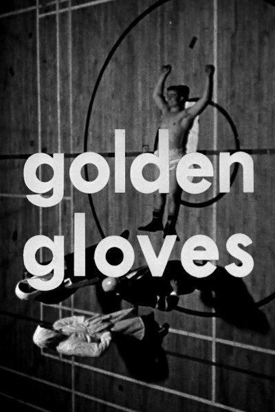 Póster de Golden Gloves
