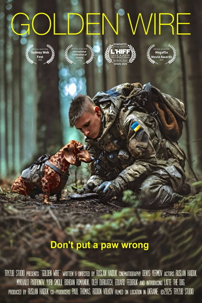 Póster de Golden Wire