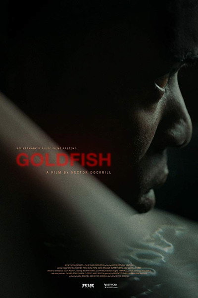 Póster de Goldfish
