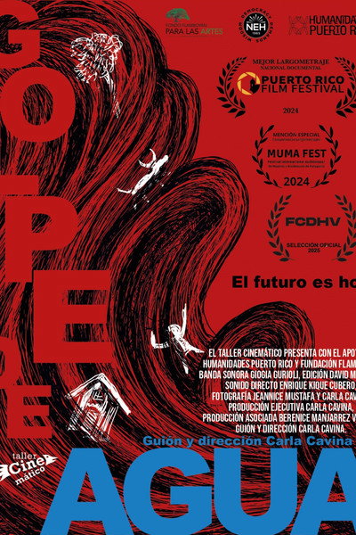 Póster de Golpe de Agua
