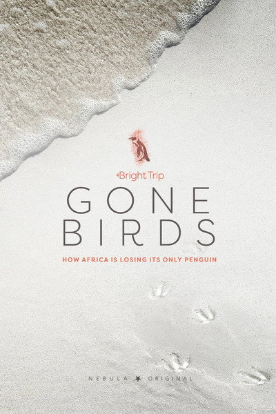 Póster de Gone Birds