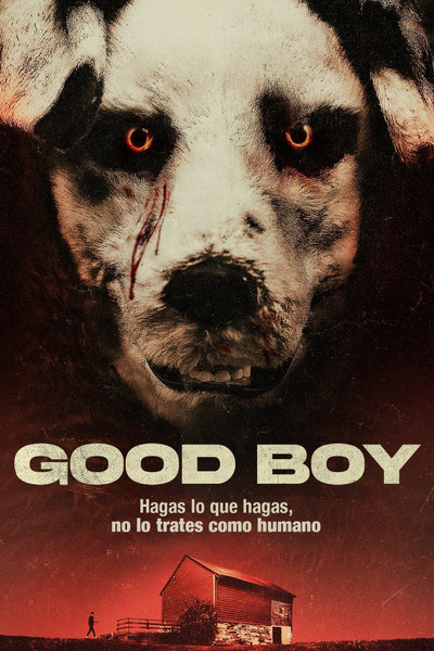 Póster de Good Boy