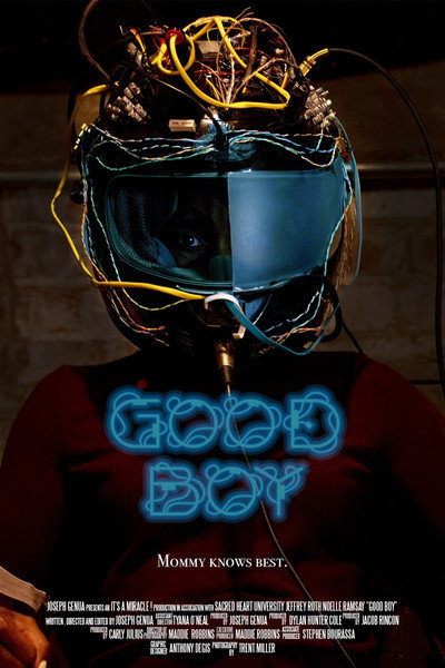 Póster de Good Boy