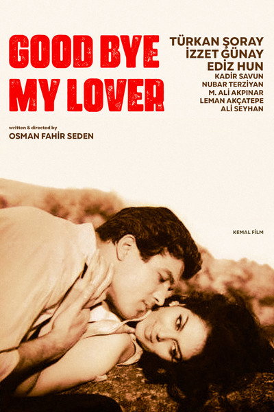 Póster de Good Bye, My Lover