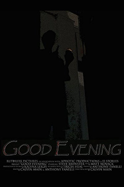 Póster de Good Evening