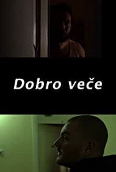 Póster de Good Evening
