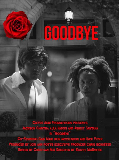 Póster de Goodbye