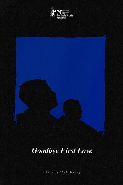 Póster de Goodbye First Love