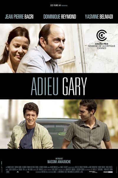 Póster de Goodbye Gary Cooper