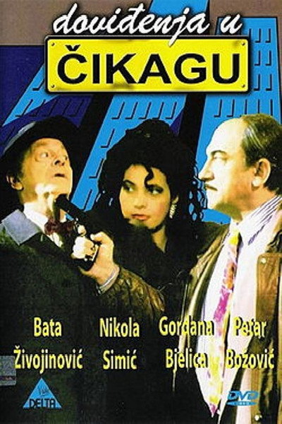 Póster de Goodbye in Chicago
