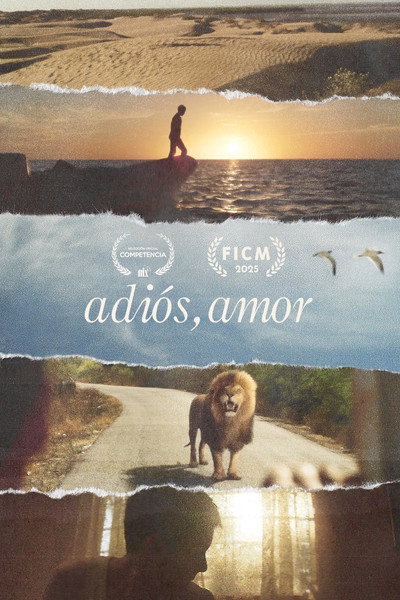 Póster de Goodbye Love
