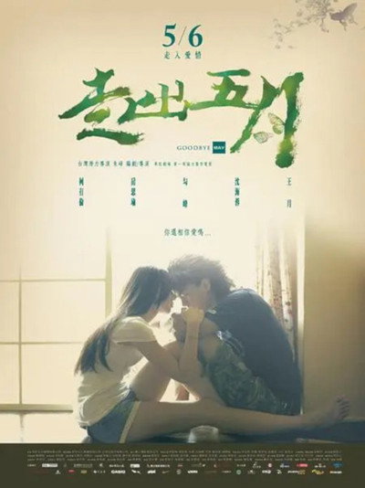 Póster de Goodbye May