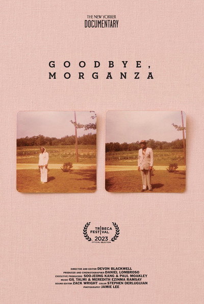 Póster de Goodbye, Morganza