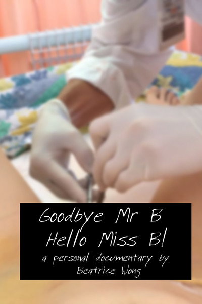 Póster de Goodbye Mr B Hello Miss B!