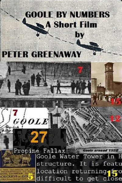Póster de Goole by Numbers