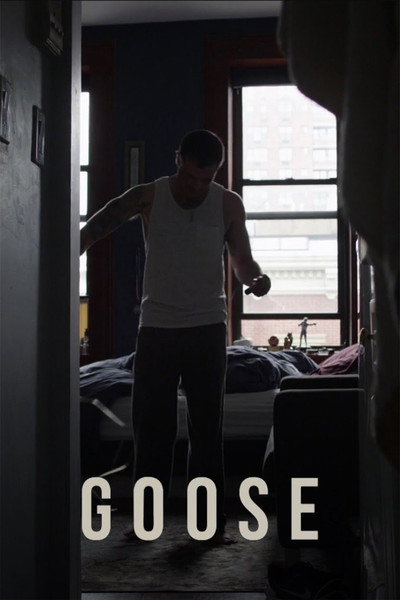 Póster de Goose