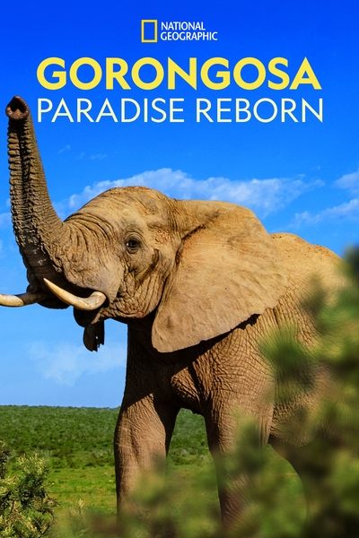 Póster de Gorongosa: Paradise Reborn