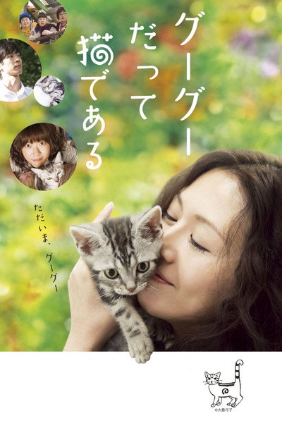 Póster de Gou Gou, the Cat
