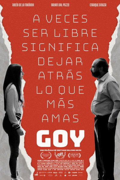 Póster de Goy