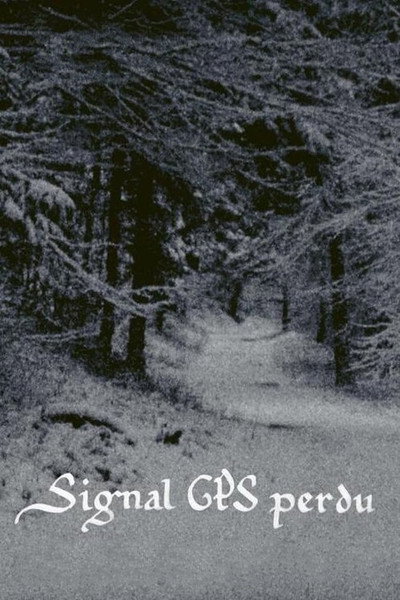 Póster de GPS Signal Lost