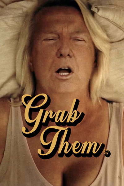 Póster de Grab Them