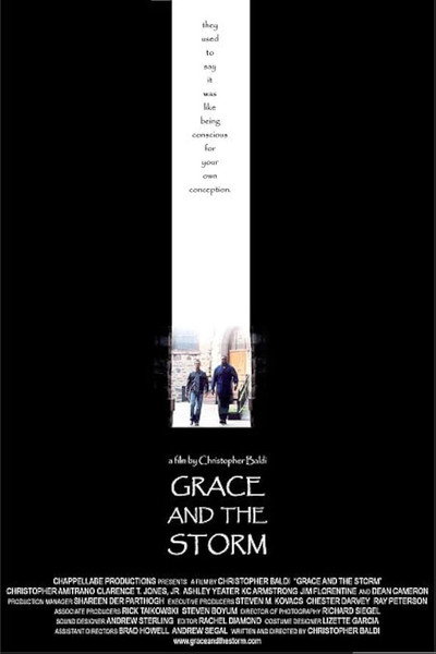 Póster de Grace and the Storm
